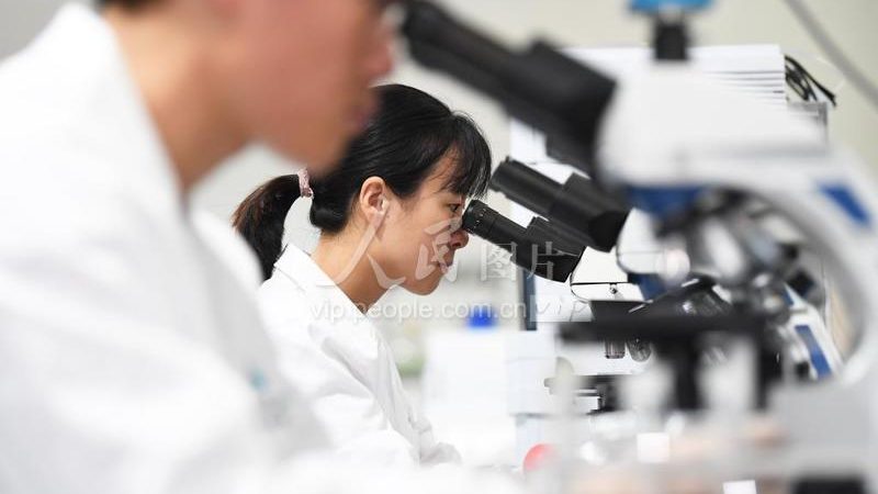 CDMO行业：揭秘其优缺点，助力医药研发高效前行
