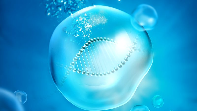 CDMO项目定制流程：揭秘医药研发的“幕后推手