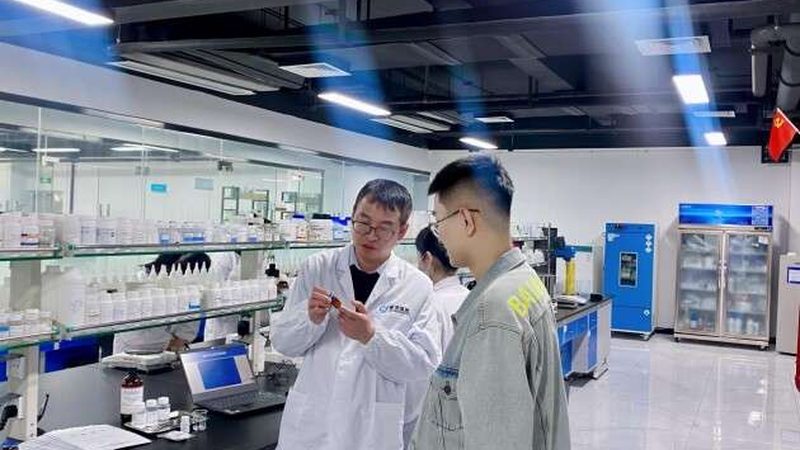 中国CDMO龙头企业：揭秘其核心竞争优势