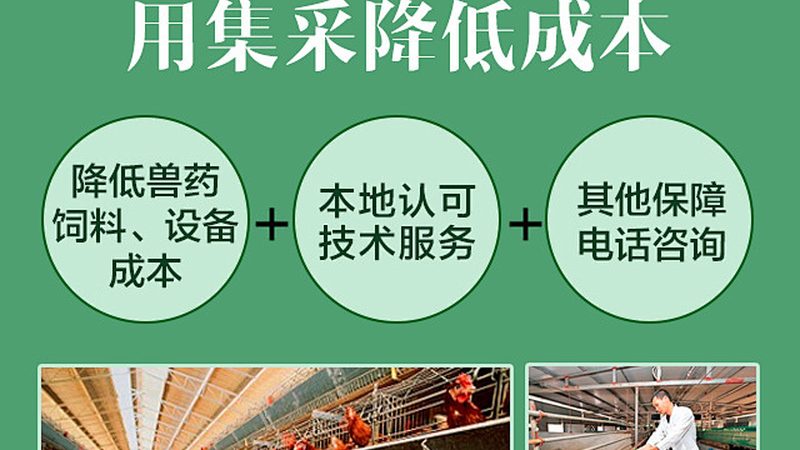 癌症基因检测准确率：解码精准医疗的钥匙