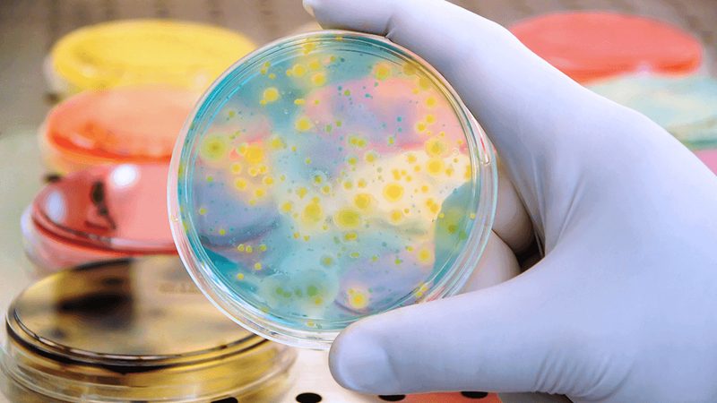 医药研发新篇章：生物科技公司如何引领行业变革**