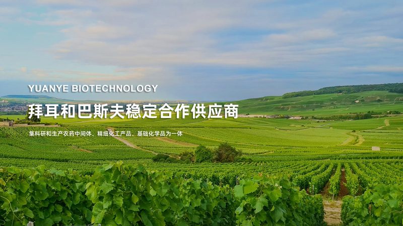 如何科学评估CRO策略效果：关键指标与误区解析