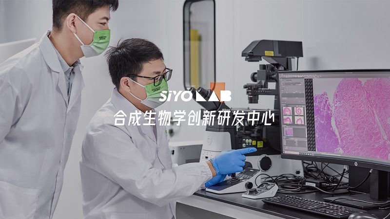 生物医药临床试验分期：揭秘科学评估的奥秘