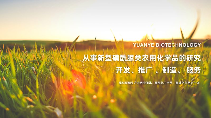 细胞工厂技术参数揭秘：如何选择合适的批发价格