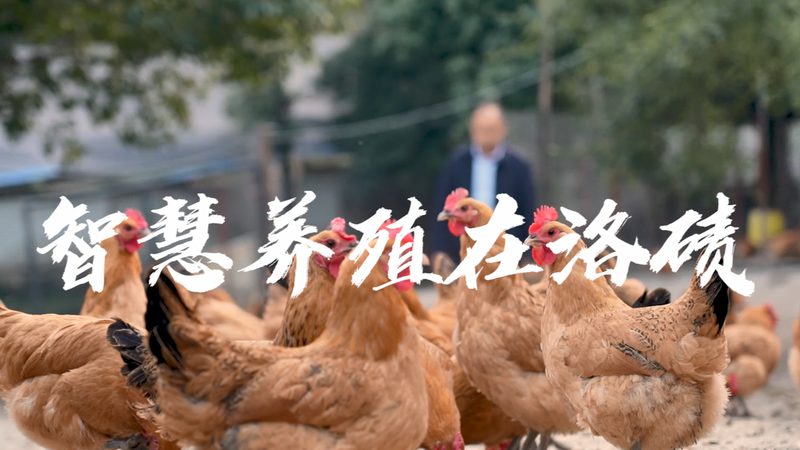 生物科技公司资质审核：关键要素与合规要点**