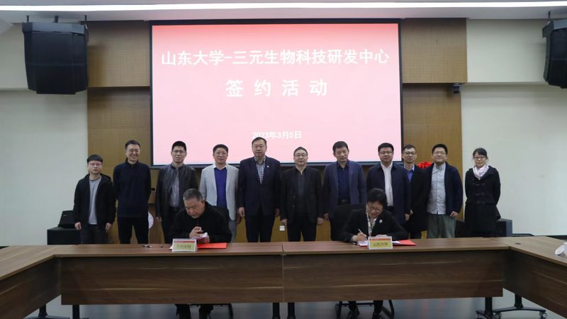 国内小分子CDMO行业：揭秘供应商排名背后的考量**