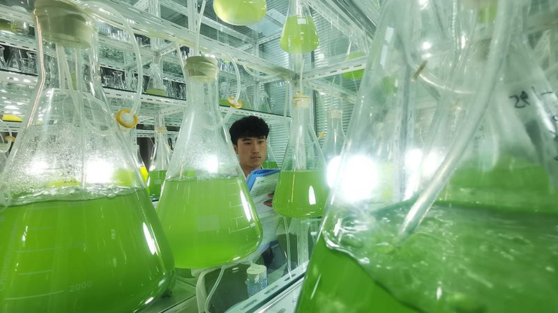 ADC临床试验的冰与火：疗效突破与开发困局